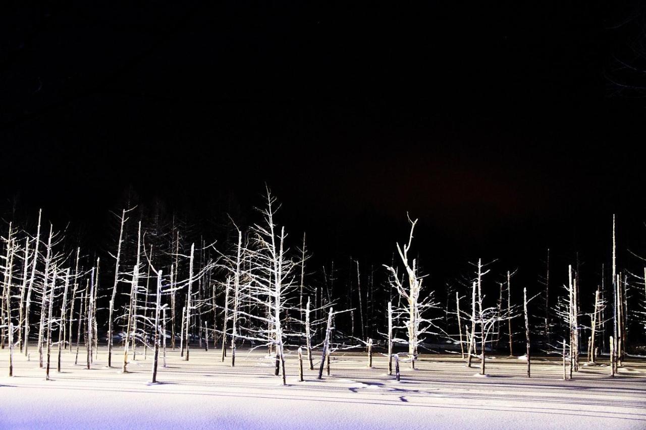 Stay In 末広 Asahikawa Nagayamacho Exteriér fotografie